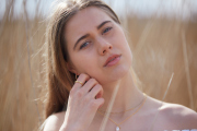 P17C6365