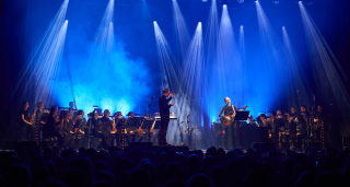 TommasHviid_1S1A8115