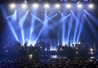 TommasHviid_1S1A8579