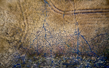 Abstrakt landskab - Sivmark