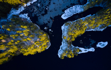 Abstrakt landskab - Skovsø #2